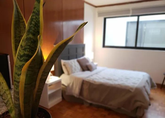 Hotel Singular Coyoacan Pepper My Love! Mexico City