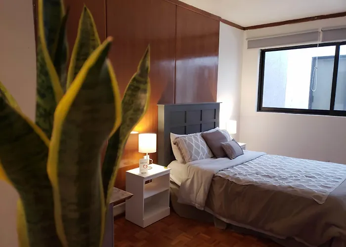 Hotel Singular Coyoacan Pepper My Love!