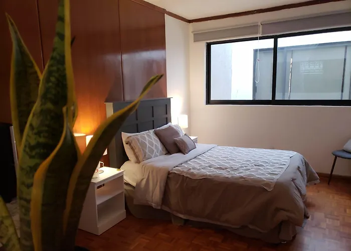 Singular Coyoacan Pepper My Love! Hotel